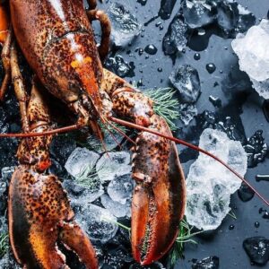 Lobster